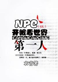 NPC开眼看世界第一人（GL）封面