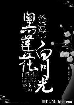 黑莲花抢走了白月光封面