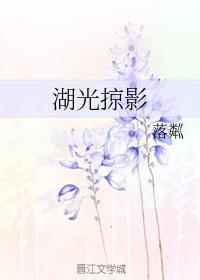 湖光掠影封面