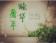 赊华奢年封面