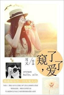 窥了，爱了封面