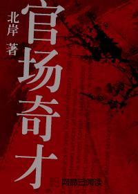 官场奇才封面