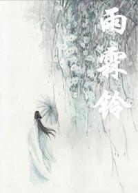 雨霖铃封面
