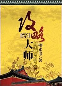 [综]攻略大师封面