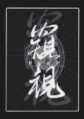 窥视封面