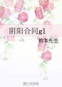 阴阳合同gl封面