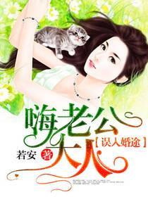 误入婚途：嗨，老公大人封面