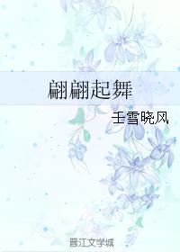 翩翩起舞封面