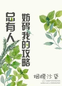 总有人妨碍我的攻略封面