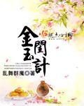 金闺玉计封面