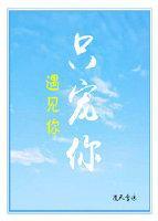 遇见你，只宠你封面