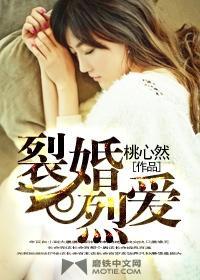 裂婚烈爱封面