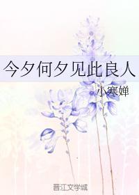今夕何夕见此良人封面