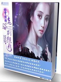 宠妻别想逃封面