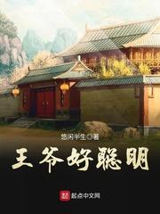 王爷好聪明封面
