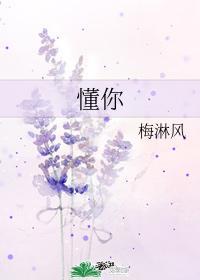 懂你封面