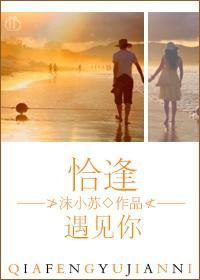 恰逢遇见你封面