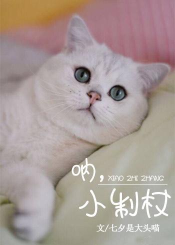 吶，小制杖封面