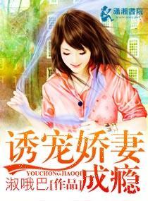诱宠娇妻成瘾封面