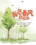 我愿春风款款来封面