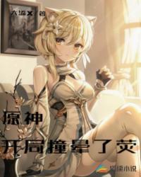 原神：开局撞晕了荧封面