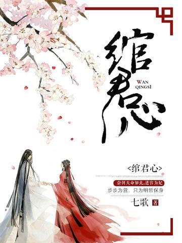 绾君心封面