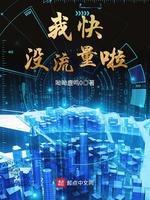 我快没流量啦封面