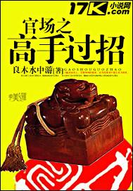 官场之高手过招封面