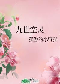 九世空灵封面