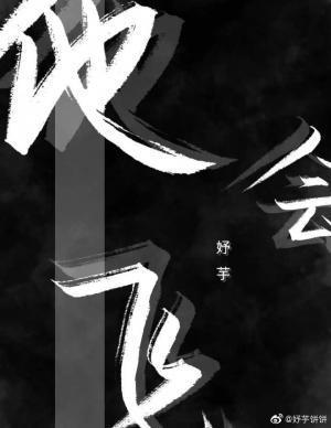 他会飞封面