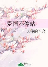 爱情不停站封面