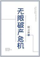 无限破产危机封面
