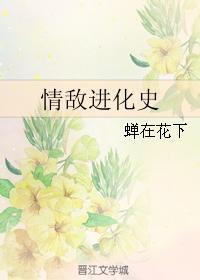情敌进化史封面