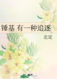 锤基 有一种追逐封面