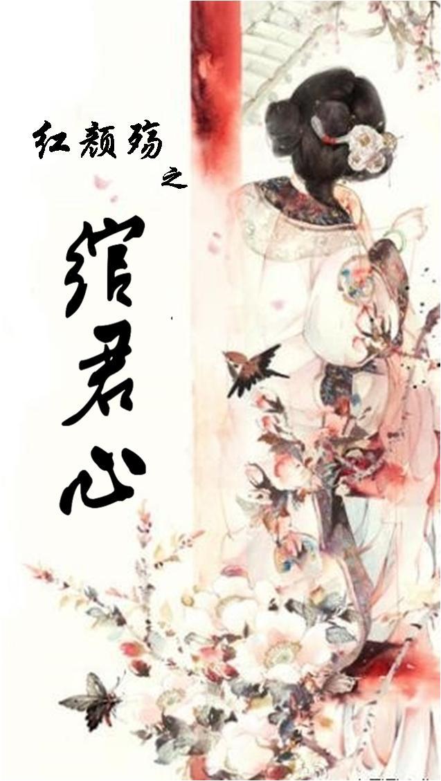 红颜殇之绾君心封面