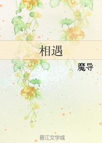 相遇封面