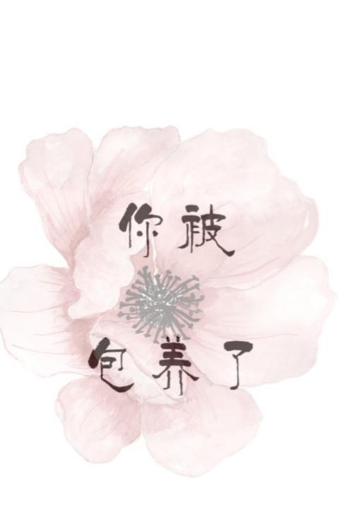 与你成长封面