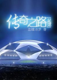 传奇之路封面