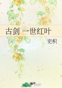 一世红叶封面