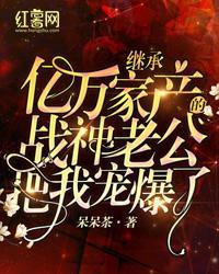 继承亿万家产的战神老公把我宠爆了封面