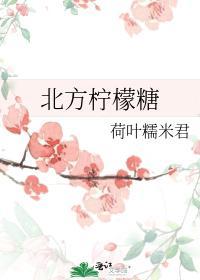 北方柠檬糖封面