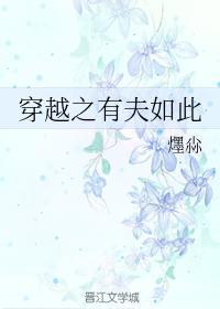 穿越之有夫如此封面