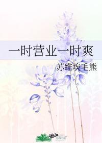一时营业一时爽封面