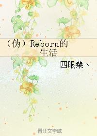 （伪）Reborn的生活封面