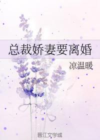 总裁娇妻要离婚封面