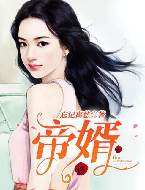 帝婿封面