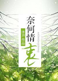 奈何情衷封面