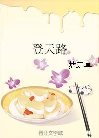 登天路封面