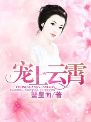宠上云霄封面