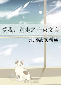 爱我，别走之十束文良封面